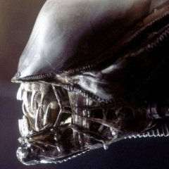 Why 'Alien: Covenant' is the Best in Franchise Since 'Aliens'