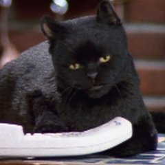 The Untold Truth of 'Sabrina the Teenage Witch' The Untold Truth of 'Sabrina the Teenage Witch'