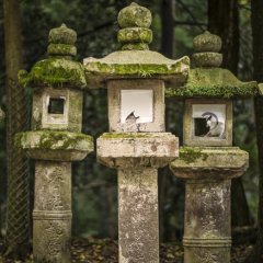 The Astonishing Stories Behind These Monuments