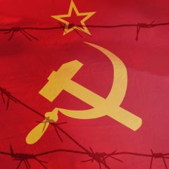 Messed Up Things That Actually Happened After WWII Ended Messed Up Things That Actually Happened After WWII Ended