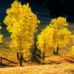 Top 18 Spots for Fall Color Top 18 Spots for Fall Color