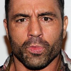 The Untold Truth of Joe Rogan