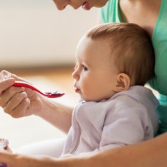 The Truth About Baby Food That Every Parent Needs to Know The Truth About Baby Food That Every Parent Needs to Know