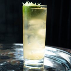 Bourbon Rickey Cocktail Recipe