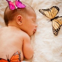 Beautiful Baby Names Inspired by Butterflies