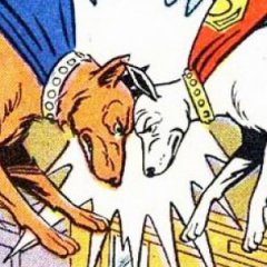 The Best Animal Sidekick in the History of Comics The Best Animal Sidekick in the History of Comics