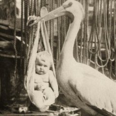 Myths Everyone Used to Believe About Childbirth Myths Everyone Used to Believe About Childbirth