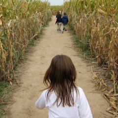 Incredible Corn Mazes Across the Country Worth Traveling For Incredible Corn Mazes Across the Country Worth Traveling For