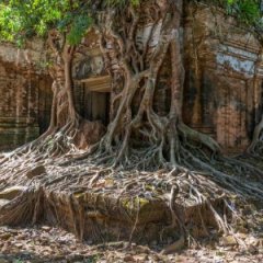 How Bad Karma & Engineering Doomed an Ancient Cambodian Capital How Bad Karma & Engineering Doomed an Ancient Cambodian Capital