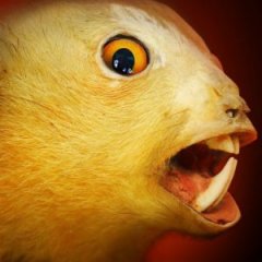 The Truth About the Chupacabra