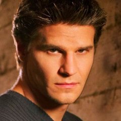 TV Shows That Were Canceled for One Idiot Mistake
