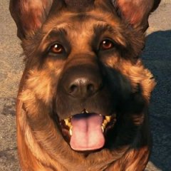 The Ranking of Every 'Fallout' Game The Ranking of Every 'Fallout' Game