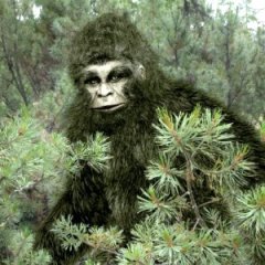 The Bizarre History of Bigfoot The Bizarre History of Bigfoot