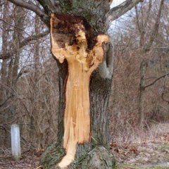 7 Things That Seem Supernatural, But Probably Aren't