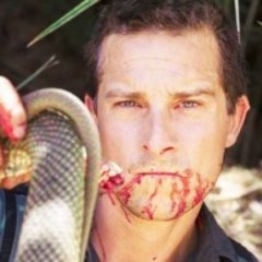 Proof That 'Man vs. Wild' is a Total Sham