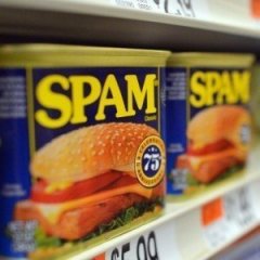 The Truth About Spam The Truth About Spam