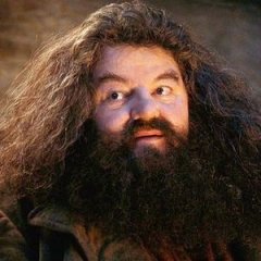 J.K. Rowling Reveals The Sad Truth About Hagrid