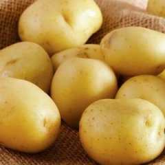 The Real Reason Why Potatoes are a True Superfood The Real Reason Why Potatoes are a True Superfood