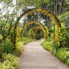 Unforgettable Botanical Gardens You Won't Regret Visiting Unforgettable Botanical Gardens You Won't Regret Visiting