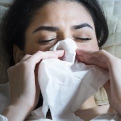 Best Allergen Preventing Bedding Best Allergen Preventing Bedding