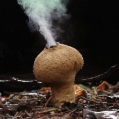 These Plants Are All Pretty Terrifying These Plants Are All Pretty Terrifying