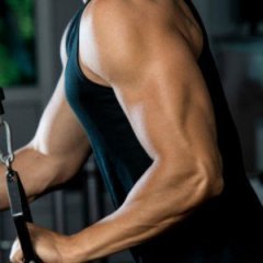 5 Rules for Building Bigger Triceps 5 Rules for Building Bigger Triceps