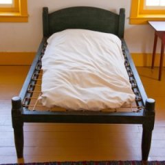 This Is Why People Say 'Don't Let the Bedbugs Bite' This Is Why People Say 'Don't Let the Bedbugs Bite'