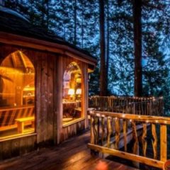 Charming Tree House Rental Is the Perfect Place to Unwind Charming Tree House Rental Is the Perfect Place to Unwind