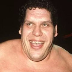Inside Andre the Giant's Life of Triumph and Tragedy