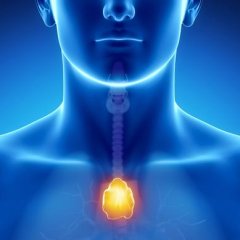 5 Body Parts You May Not Know You Have 5 Body Parts You May Not Know You Have