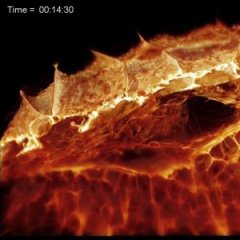 The First-Ever HD Footage of a Cell Moving Through the Body