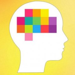 The World's Shortest IQ Test is Only Three Questions