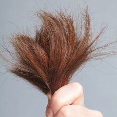 9 Hair Products That Will Help Mend Split Ends 9 Hair Products That Will Help Mend Split Ends