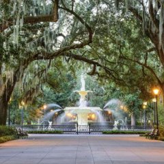 10 Great American Vacation Destinations for Nature Lovers 10 Great American Vacation Destinations for Nature Lovers