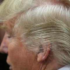 Donald Trump's Bizarre Hairdo Finally Explained Donald Trump's Bizarre Hairdo Finally Explained