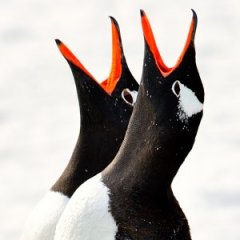 The Scary Reality of Working in Antarctica
