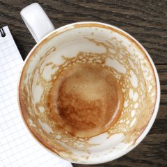 The Case for Never Washing Your Coffee Cup