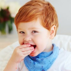 The Best Foods for Baby Brain Growth The Best Foods for Baby Brain Growth