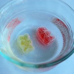 10 Easy Science Fair Projects for Kids to Test Out 10 Easy Science Fair Projects for Kids to Test Out