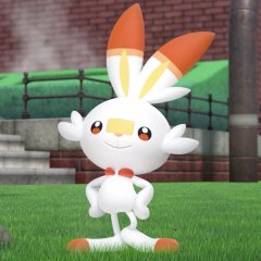 Meet The Gen 8 Starter Pokemon of 'Sword And Shield' Meet The Gen 8 Starter Pokemon of 'Sword And Shield'
