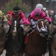 Maximum Security's Owners are Still Livid Over Disqualification Maximum Security's Owners are Still Livid Over Disqualification