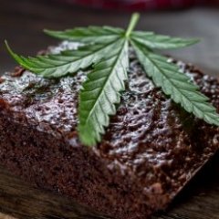 The Untold Truth of CBD-Infused Foods The Untold Truth of CBD-Infused Foods